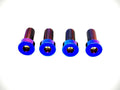 Titanium Foot Rest Bracket Bolts (4)
