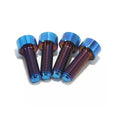 E Ride Pro Titanium Seat Subframe bolts