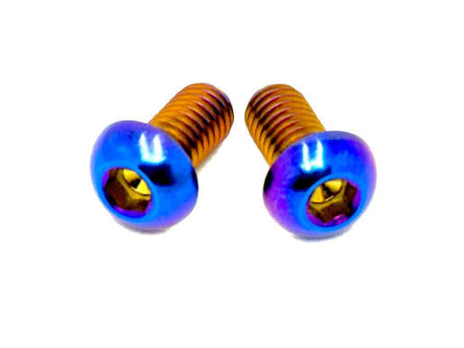 Titanium Chain Guard bolts