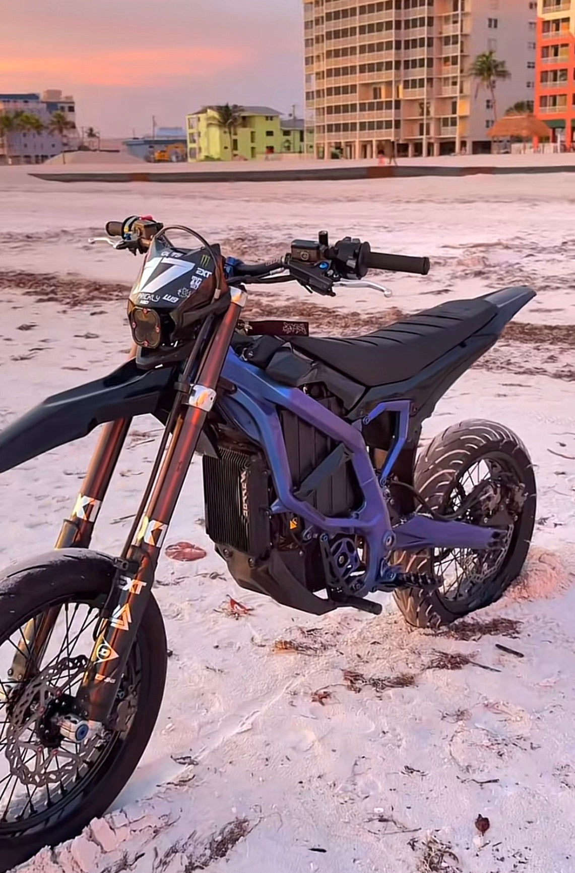 Surron Ultra Bee Frame Guards